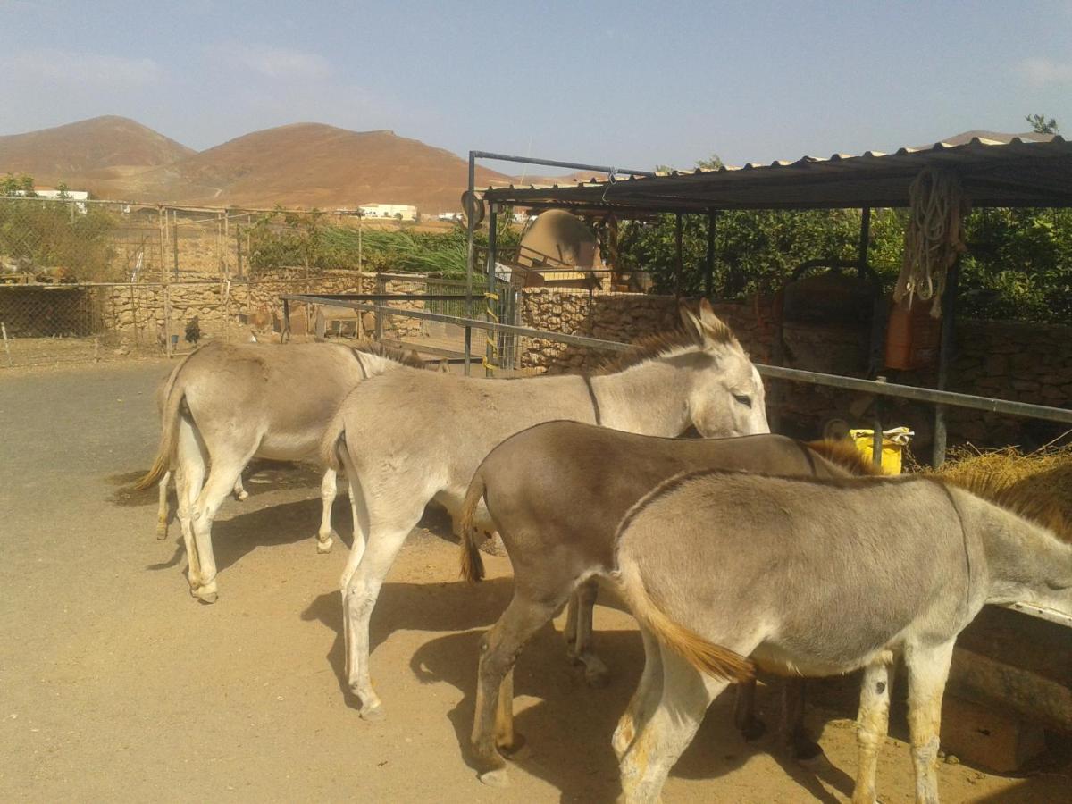 Agroturismo La Gayria Tiscamanita Dış mekan fotoğraf