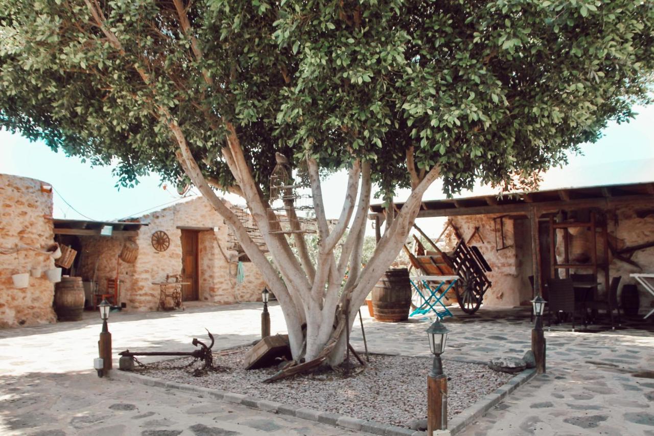 Agroturismo La Gayria Tiscamanita Dış mekan fotoğraf