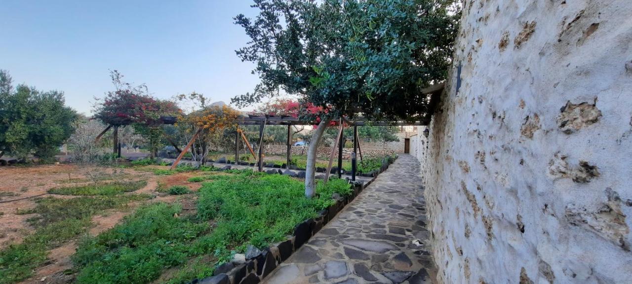 Agroturismo La Gayria Tiscamanita Dış mekan fotoğraf