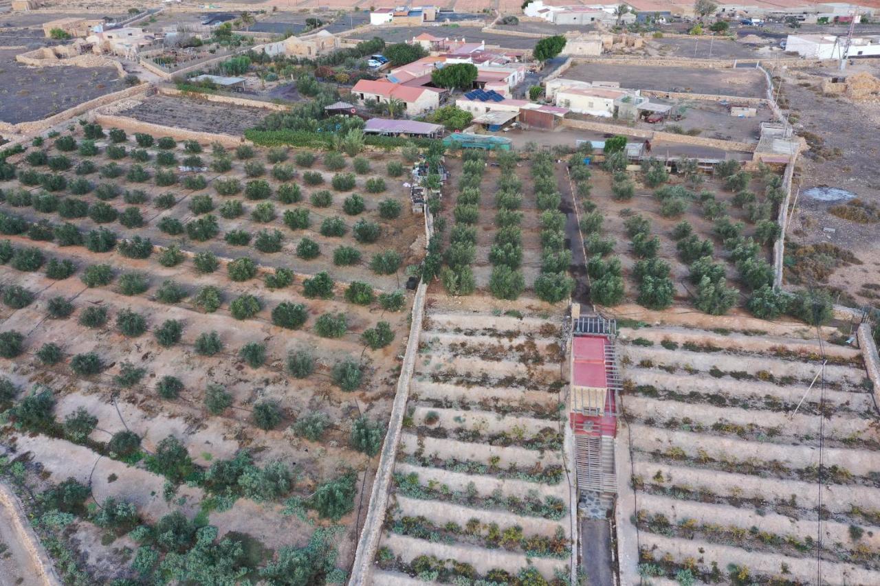 Agroturismo La Gayria Tiscamanita Dış mekan fotoğraf