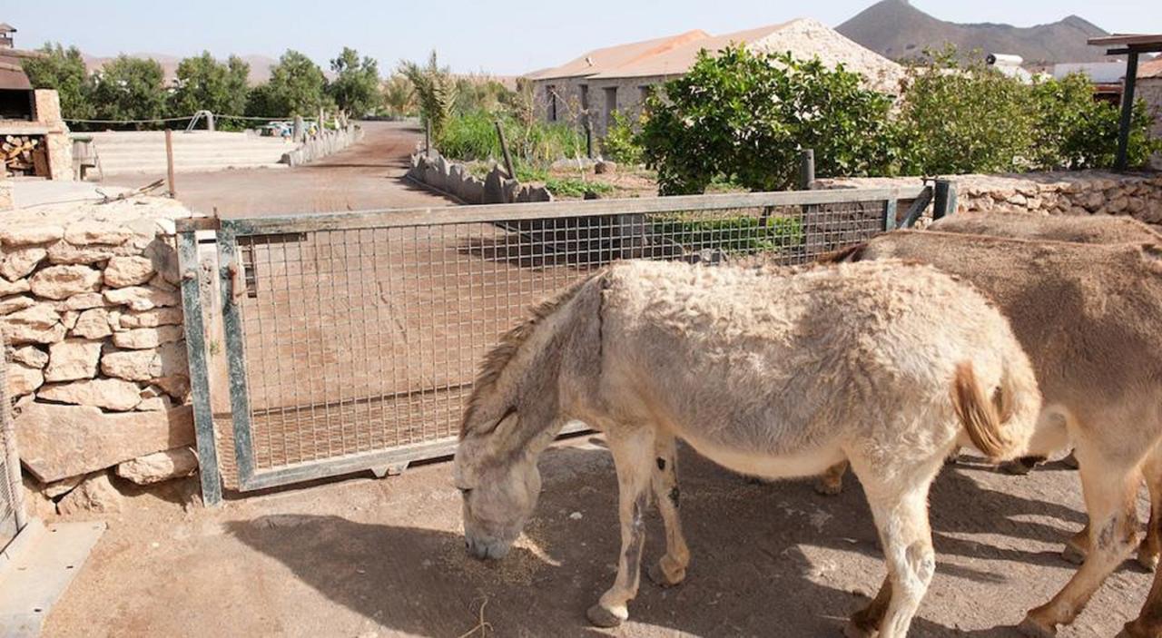 Agroturismo La Gayria Tiscamanita Dış mekan fotoğraf